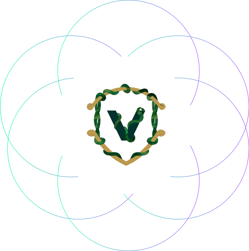 VULTRA network
